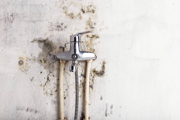Water Damage Restoration in Skidway Lake, MI