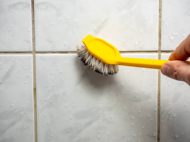 Best Commercial Mold Removal  in Skidway Lake, MI