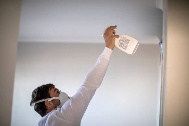 Best Office Mold Removal Services  in Skidway Lake, MI