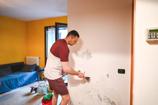 Best Professional Mold Removal  in Skidway Lake, MI